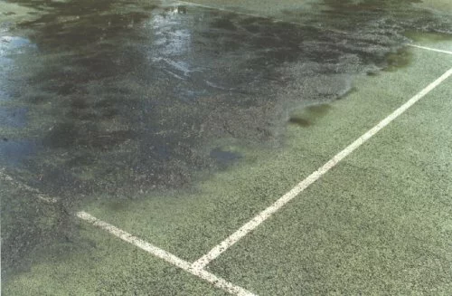 Wide view of the amount of dirt that is 
 removed from 
 a relatively clean looking hard court.